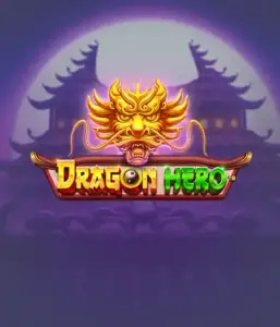 Enter a fantastic quest with Dragon Hero Slot by Pragmatic Play, featuring breathtaking visuals of ancient dragons and epic encounters. Explore a land where fantasy meets thrill, with symbols like enchanted weapons, mystical creatures, and treasures for a thrilling gaming experience.